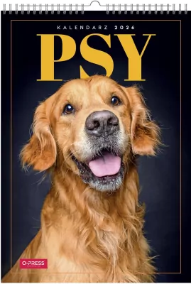 Kalendarz 2026 A3 Wieloplanszowy Psy