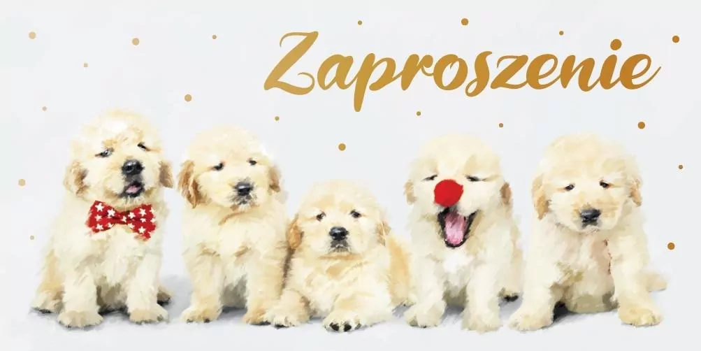 Zaproszenie Dziecięce Z139 (5szt) - tantis.pl