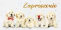 Zaproszenie Dziecięce Z139 (5szt) - tantis.pl
