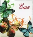 Kalendarz 2021 kieszonkowy. Ewa Impress mix - tantis.pl