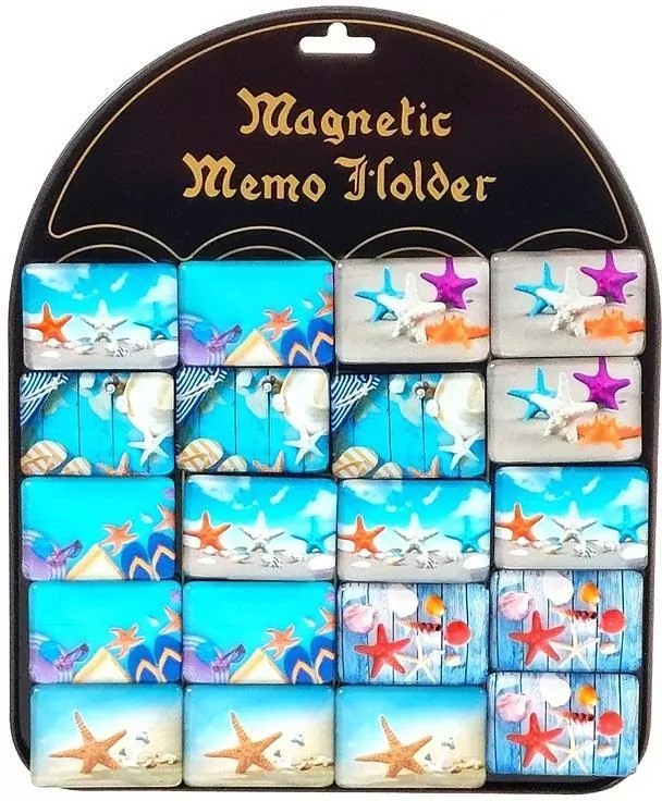 Magnesy rozgwiazdy 5,1x3,5cm MIX - tantis.pl