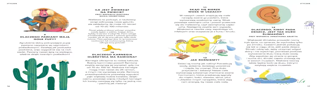 Wszystko, co chcesz wiedzieć - tantis.pl