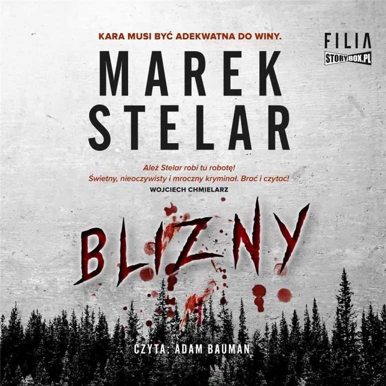 Blizny audiobook - tantis.pl