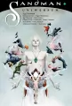 Uniwersum. Sandman - tantis.pl