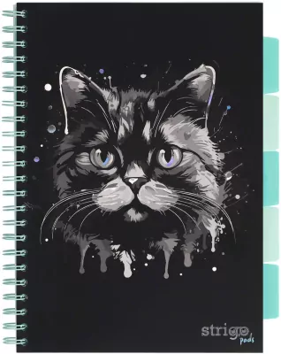 Kołozeszyt Pads A4/100K linia Kot