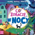 Co zobaczę w nocy. Oglądaj, wskazuj, zapamiętuj - tantis.pl