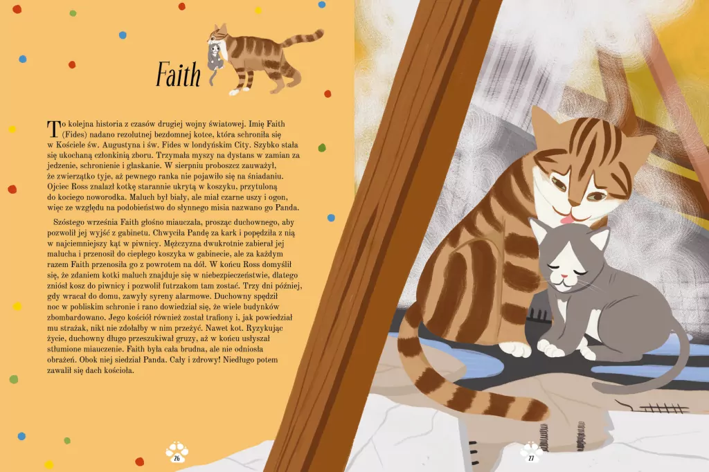 Kocie historie - tantis.pl