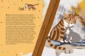 Kocie historie - tantis.pl