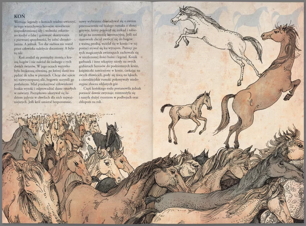 Bestiariusz. Zwierzęta - tantis.pl