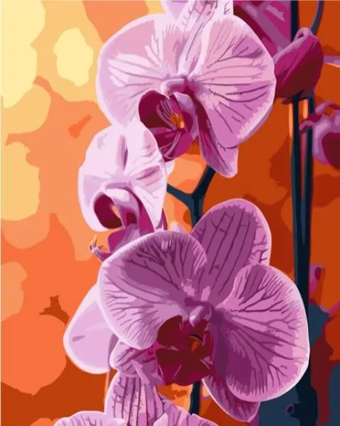 Malowanie po numerach - Orchidea 40x50cm - tantis.pl