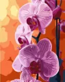 Malowanie po numerach - Orchidea 40x50cm - tantis.pl