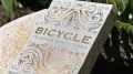 Bicycle. Karty Botannica - tantis.pl