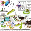 Nauka o insektach. I'm a genius - tantis.pl