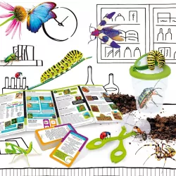 Mały Geniusz. Nauka o insektach