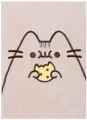 Notes A5 kropki pluszowy. Pusheen - tantis.pl