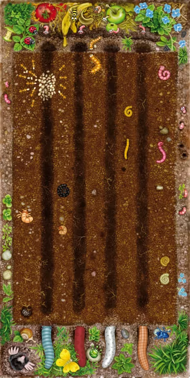 Gnaj, robaczku! - tantis.pl