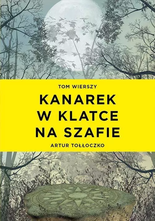 Kanarek w klatce na szafie - tantis.pl