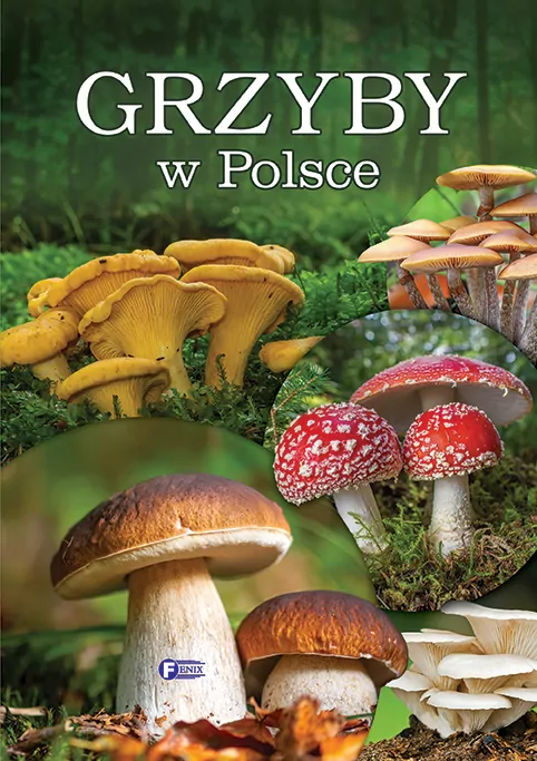Grzyby w Polsce - tantis.pl