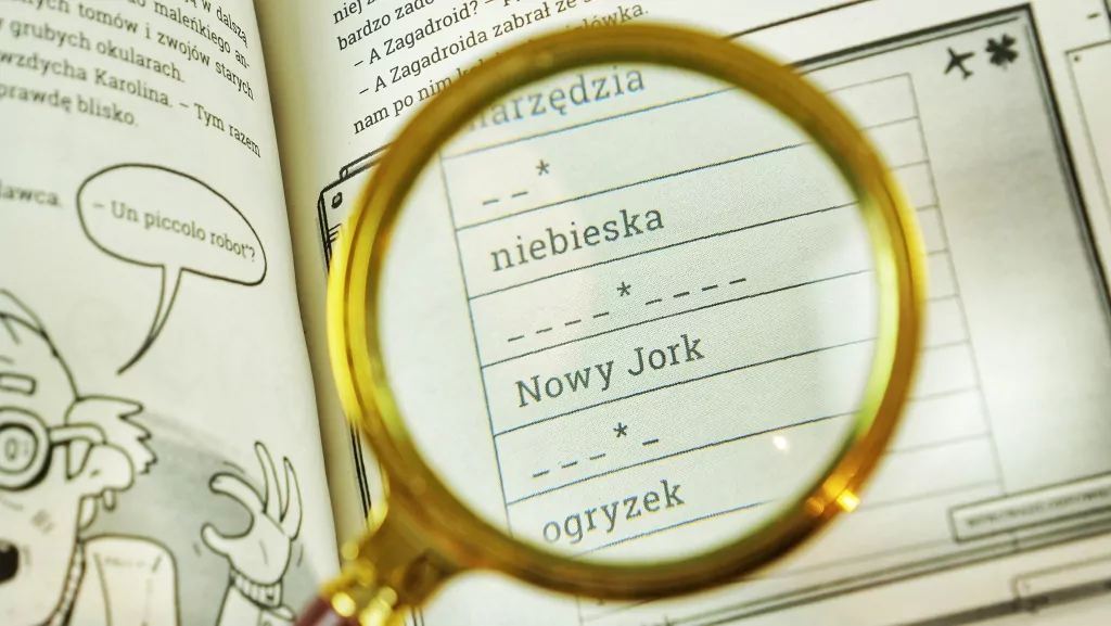 Dziennik. Zagadkowa podróż - tantis.pl