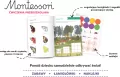Montessori. Ćwiczenia przedszkolaka 4-6 lata - tantis.pl