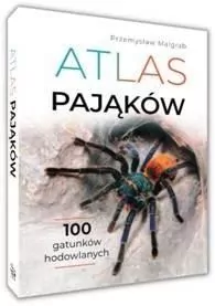 Atlas pająków - tantis.pl