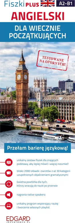 Fiszki PLUS. Angielski dla wiecznie początkujących - tantis.pl