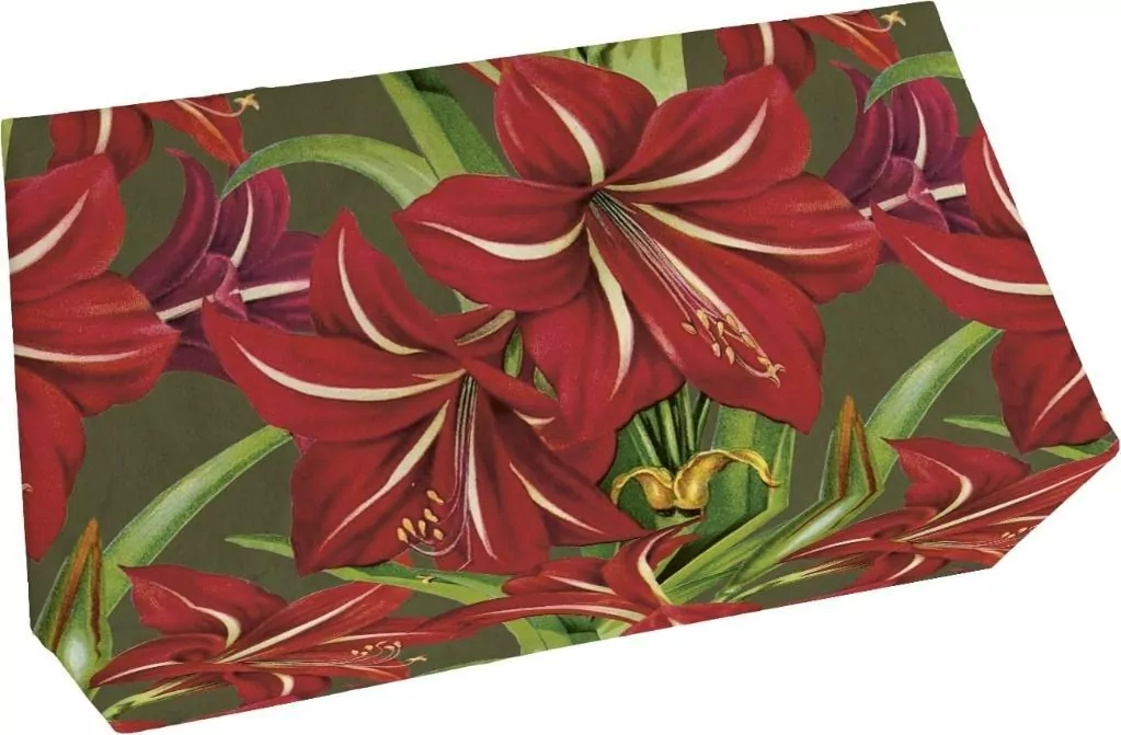 Mydło 200g zapach jabłkowy Gwiazda Betlejemska BN - tantis.pl