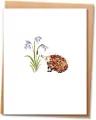 Mini Karnet ML18 - tantis.pl