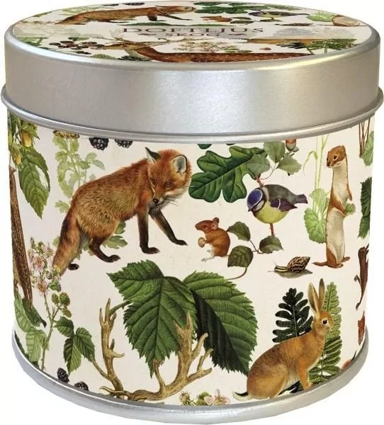 Zapachowa świeczka leśne zwierzęta - zapach leśny - tantis.pl