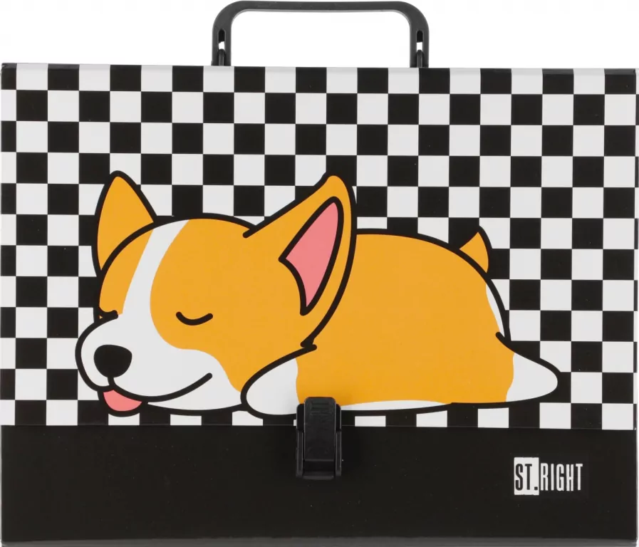 Teczka z rączką A4 XL Sleepy Corgi - tantis.pl