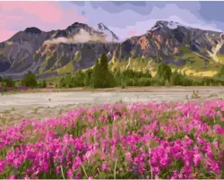 Malowanie po numerach: Kwiaty w pobliżu gór 40 x 50