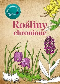 Kolorowanka Rośliny Chronione - tantis.pl