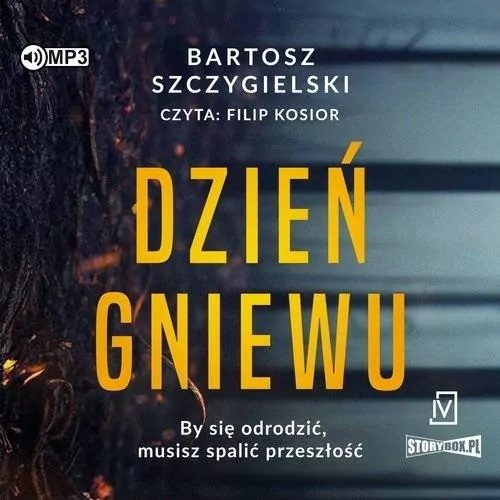Dzień gniewu audiobook - tantis.pl