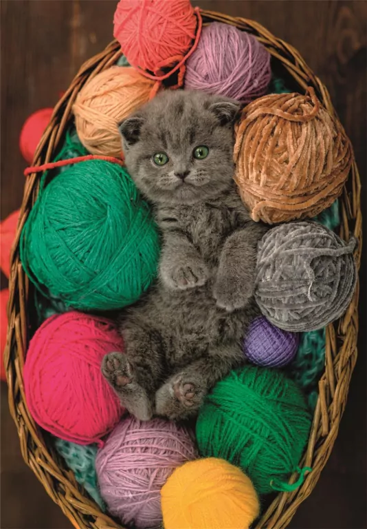 Puzzle 500 Fluffy Kitten - tantis.pl