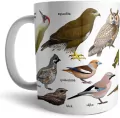 Kubek - Ptaki w lesie - tantis.pl