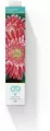 Diamond Dotz Adults Pink Gerberas - tantis.pl