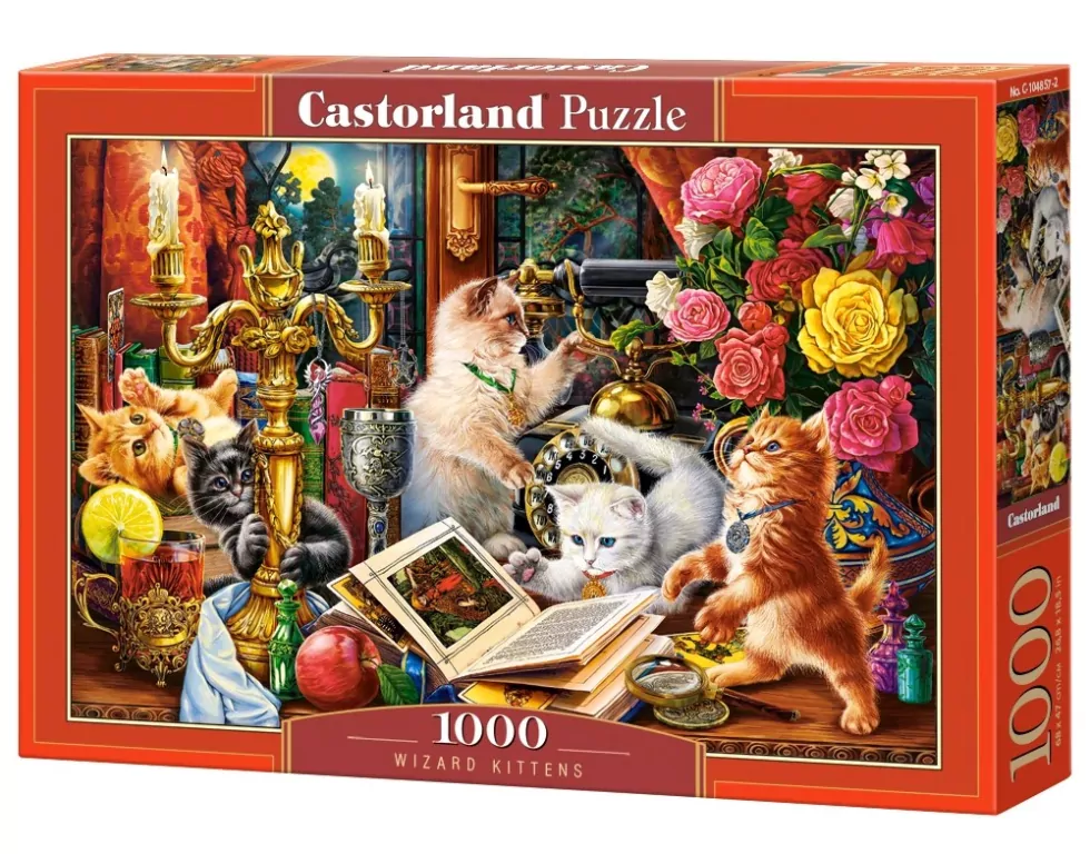 Castor. Puzzle 1000. Wizard Kittens 104857 - tantis.pl
