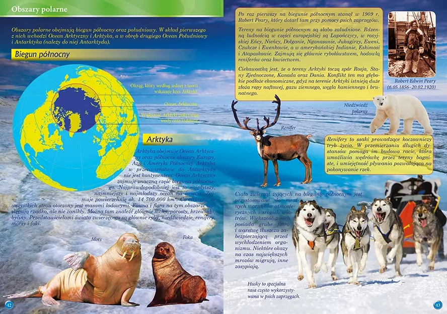 Świat wiedzy. Encyklopedia - tantis.pl