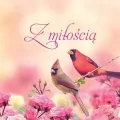 Z miłością - tantis.pl