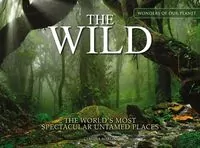 The Wild - tantis.pl