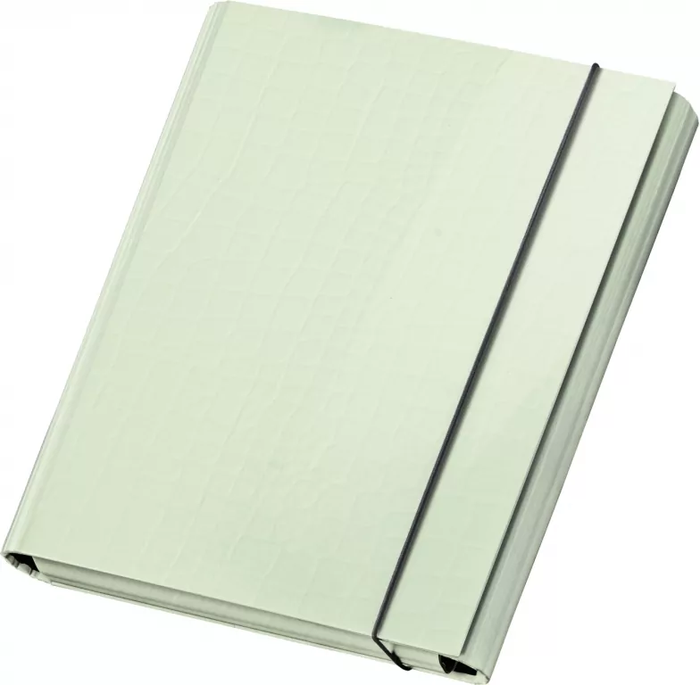 TECZKA Z GUMKA A4 SKRZYD PASTELOVE ZIE VPE 1/12 - tantis.pl