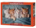 Puzzle 1000. The Sweetest Kittens - tantis.pl