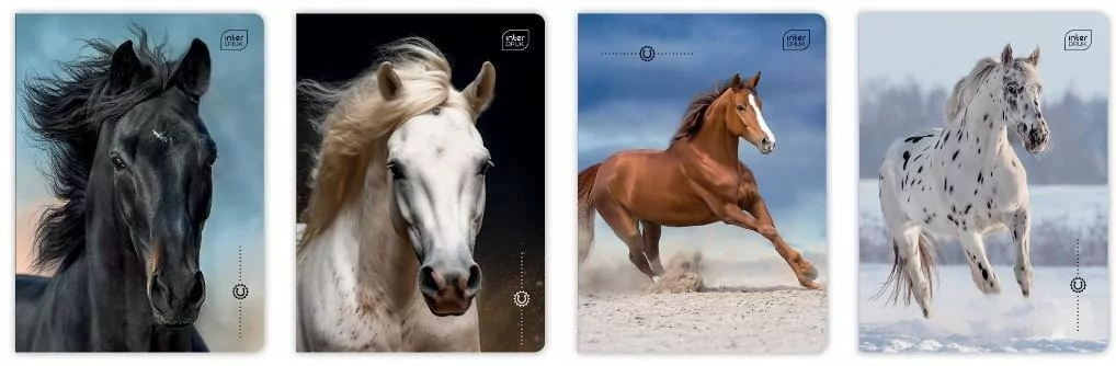 Zeszyt A5/16K 3kol linia UV Wild Horses (20szt) - tantis.pl
