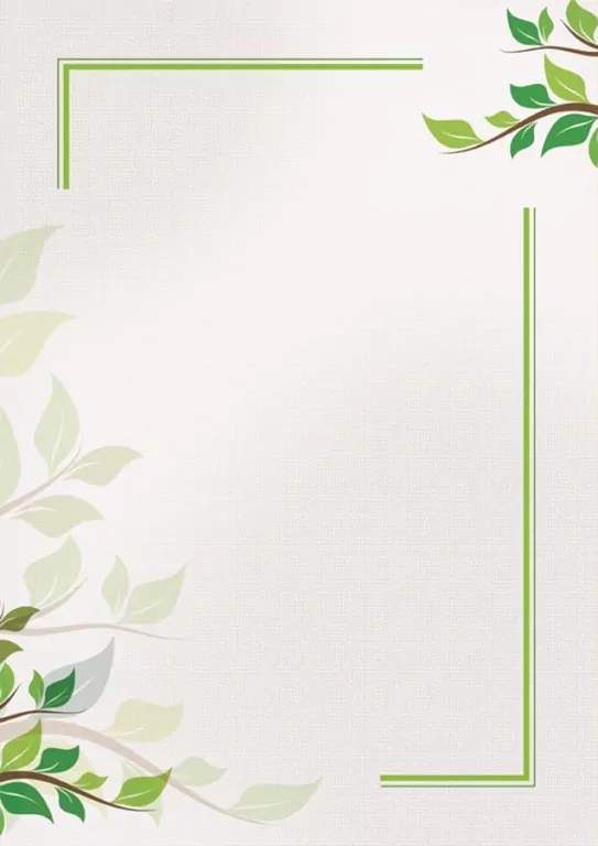 Dyplom okolicznościowy A4, Green 170G - tantis.pl