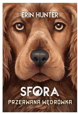 Sfora T.4 Przerwana wędrówka - tantis.pl