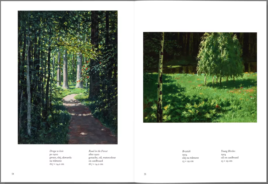 Witkiewicz. Malarstwo - tantis.pl