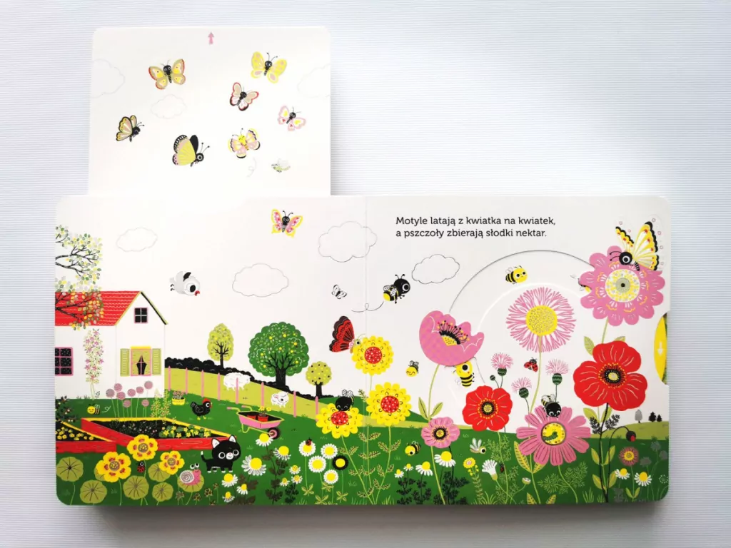 Ogródek warzywny. Niesamowity spacer. Akademia Mądrego Dziecka - tantis.pl