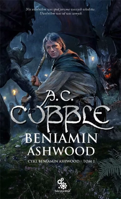 Beniamin Ashwood. Tom 1 - tantis.pl