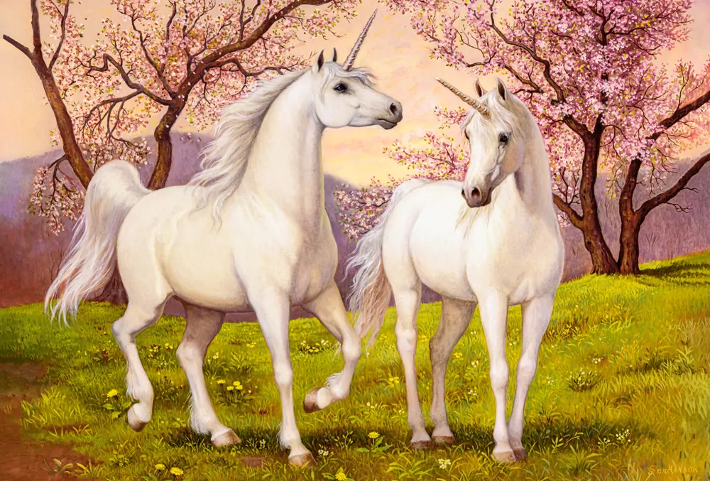 Puzzle 1000 Unicorn Love CASTOR - tantis.pl