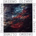 Drzewo oliwne - tantis.pl